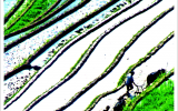 554b12abc63c8.jpg