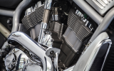 56a1ae89978a0.jpg