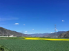 AA 美景